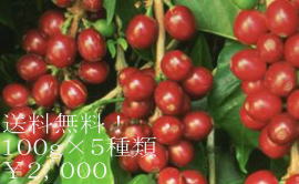 �X�y�V�����e�B�R�[�q�[�@���������@�������Z�b�g